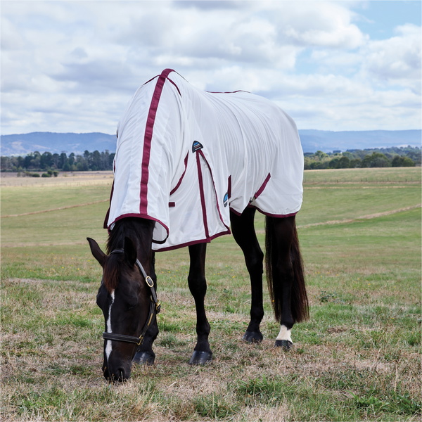 2026 WeatherBeeta Comfitec Essential Combo Fly Sheet 1029542001 - White / Burgunderrot